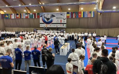 Uspeh učenke na Evropskem prvenstvu v karateju