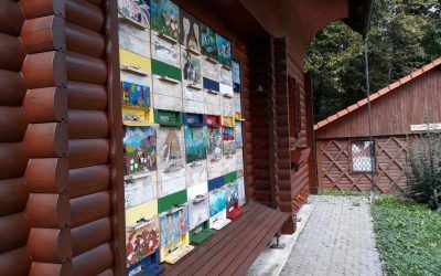Utrinki s Čebelarske zveze Slovenije